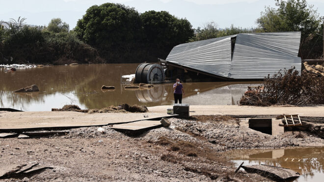 θεσσαλία-πάνω-από-200-000-νεκρά-ζώα-έχουν-δη-562616782