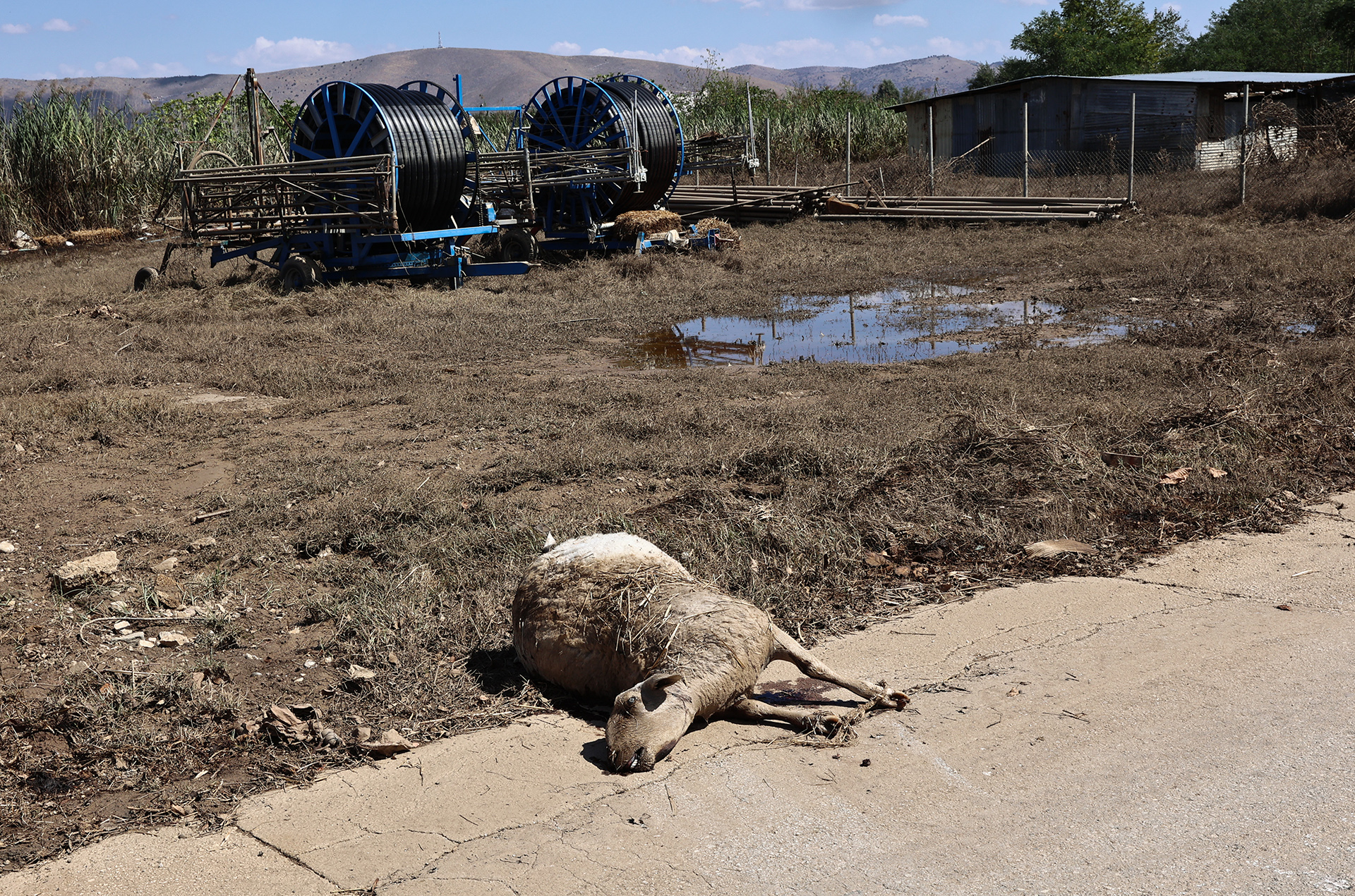 Θεσσαλία: Το αποτύπωμα της καταστροφής στην αγροτική παραγωγή-3