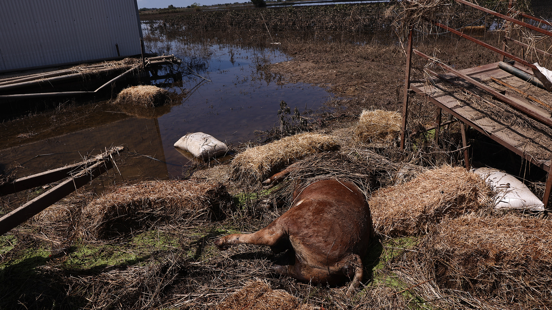Θεσσαλία: Αγώνας δρόμου μπροστά στην απειλή της υγειονομικής κρίσης-1