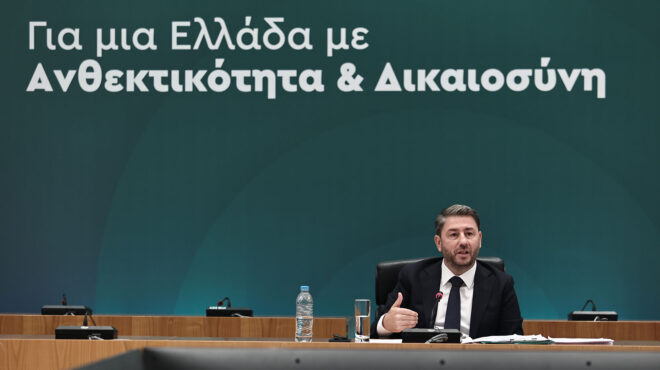 ο-ανδρουλάκης-ανεβάζει-ψηλά-τον-πήχη-γ-562627345