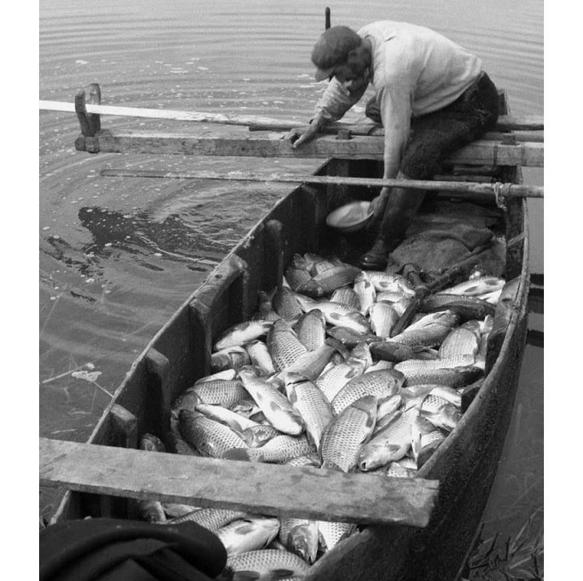 Κακοκαιρία Daniel: Στο 1960 επέστρεψε η λίμνη Κάρλα-2