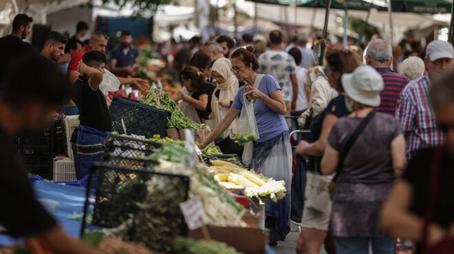 παράθυρο-ευκαιρίας-και-αγκάθια-με-τ-562598653