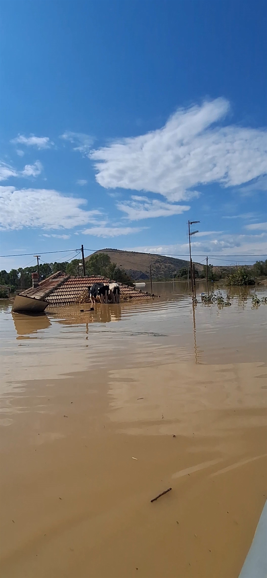 Κάναμε κουπί δίπλα στις στέγες-1