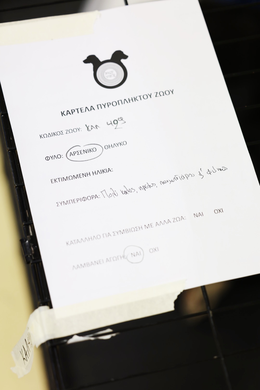 Από τον εφιάλτη των πυρκαγιών στην αγκαλιά μιας οικογένειας-8