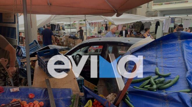 εύβοια-ηλικιωμένος-οδηγός-έπεσε-σε-λα-562646998