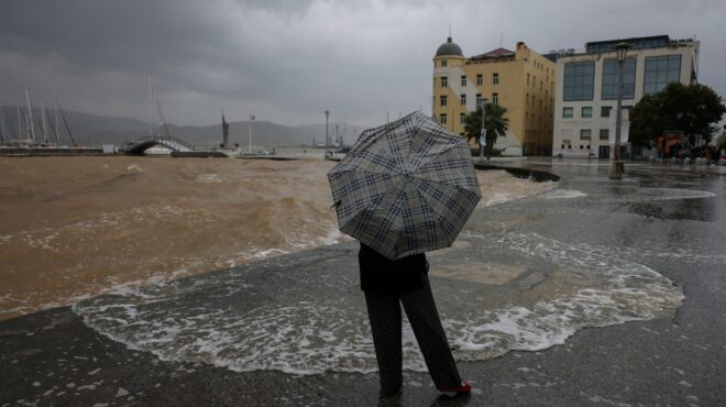 να-αναγεννηθούμε-όπως-το-1955-562619968