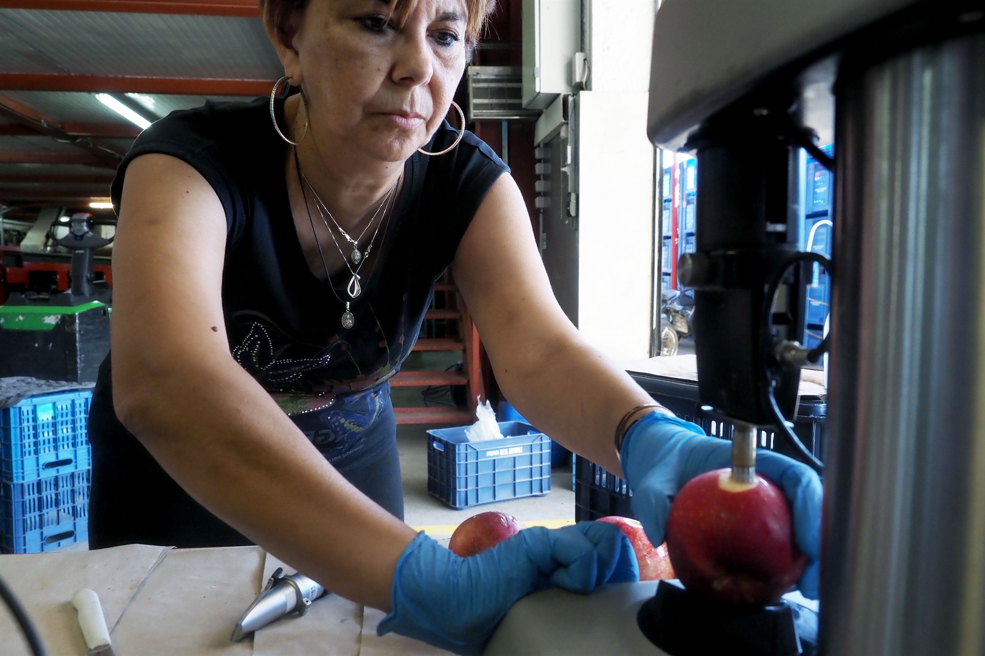 Ζαγορά Πηλίου: «Εδώ οι άνθρωποι ζουν από τα μήλα»-4