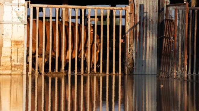 δύο-φορές-πήρε-όλο-το-βιος-τους-το-ποτάμ-562617124