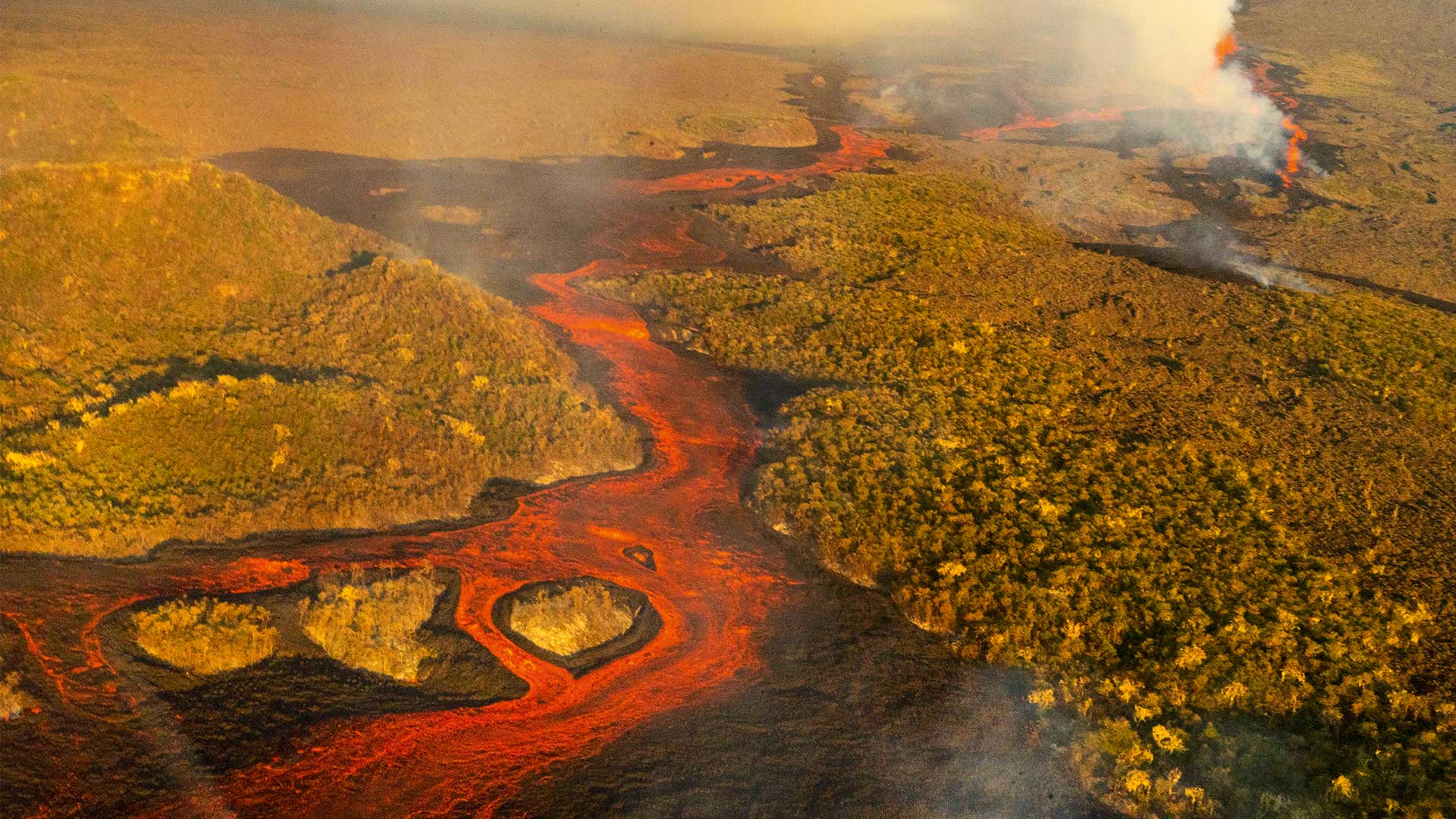Κι αν τα δάση και τα ποτάμια είχαν νομικά δικαιώματα;-3