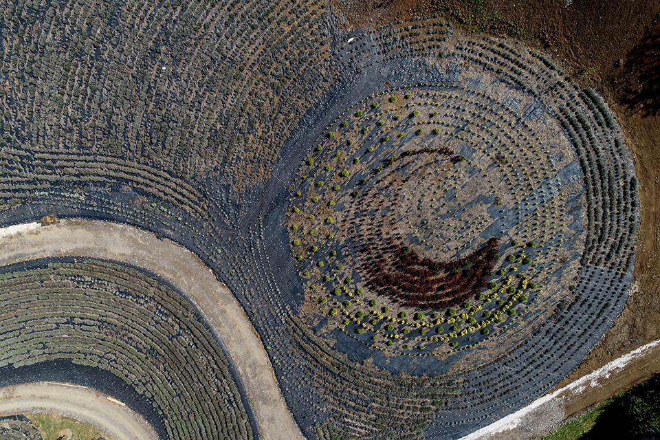 Λαμπιόνια σε σκοτεινό φόντο-2