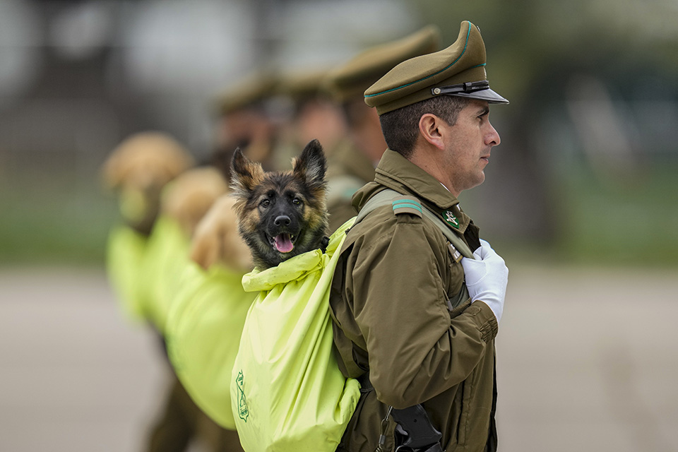 Δραστικά μέτρα από όλους-3
