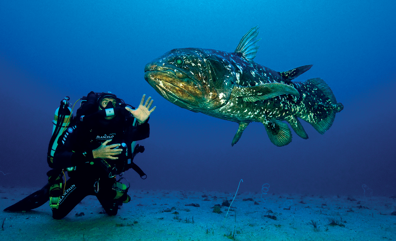 Πόσα γνωρίζετε για τo Fifty Fathoms της Blancpain;-11