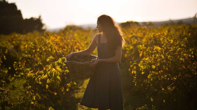το-πρώτο-φεστιβάλ-μεσσηνιακών-οίνων-έ-562635163