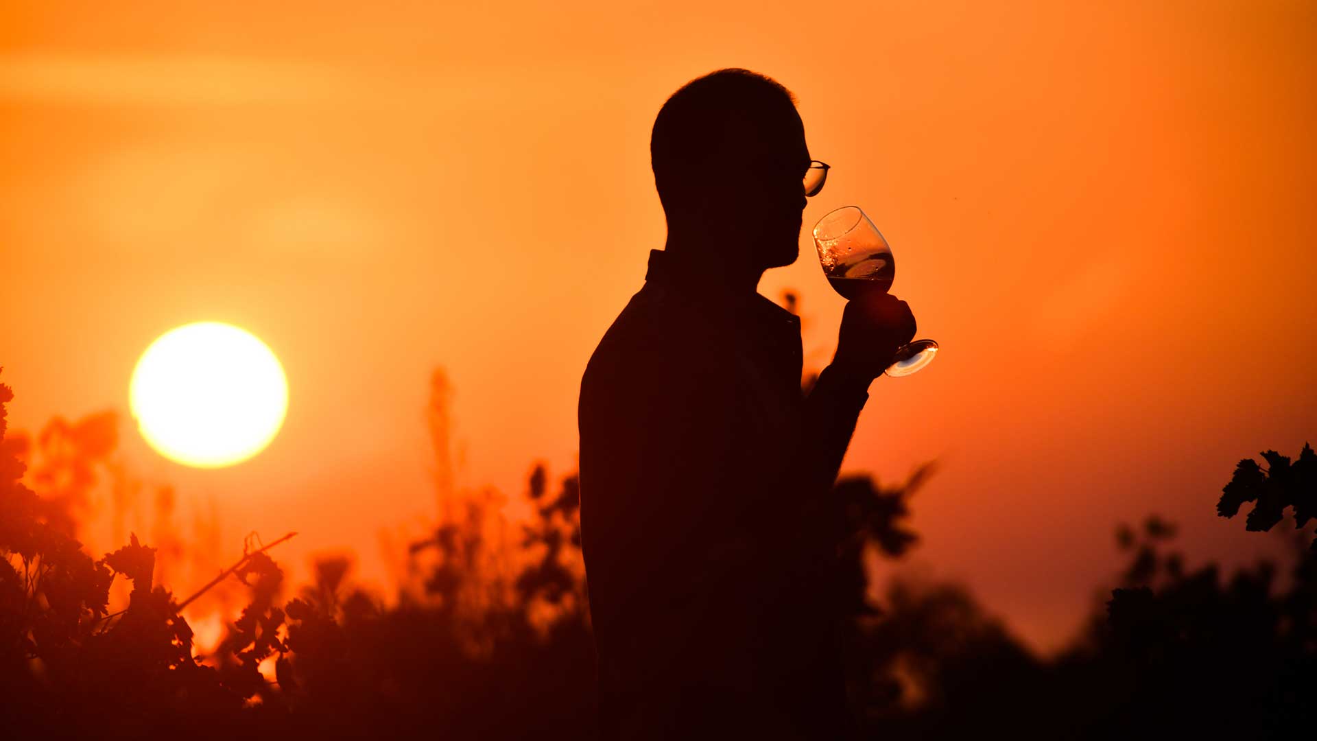 Το πρώτο φεστιβάλ μεσσηνιακών οίνων έρχεται στη Navarino Agora-1