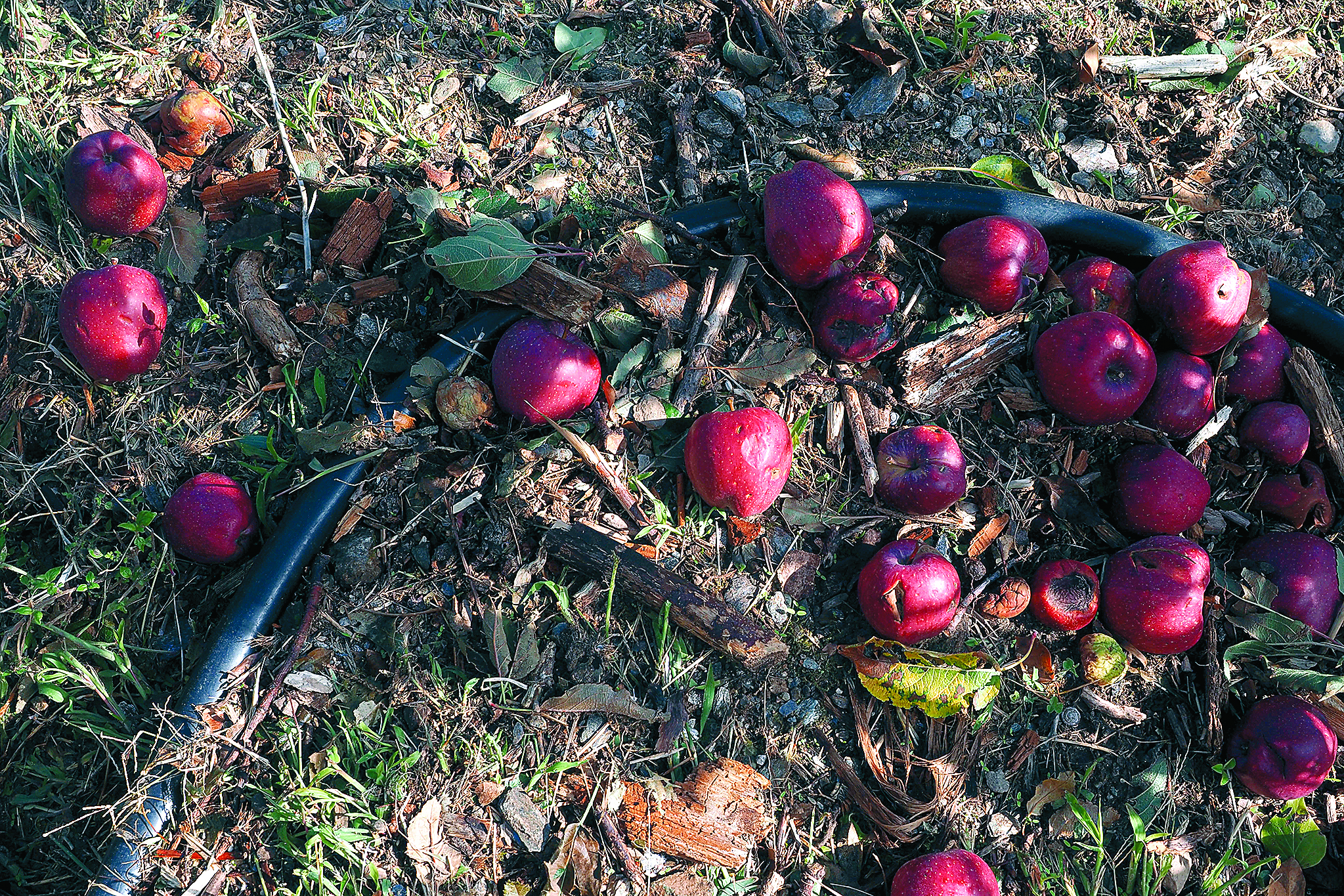 Οδοιπορικό της «Κ» στο Πήλιο: «Το νερό μπήκε απ’ το παράθυρο και μας έστειλε στη θάλασσα»-10