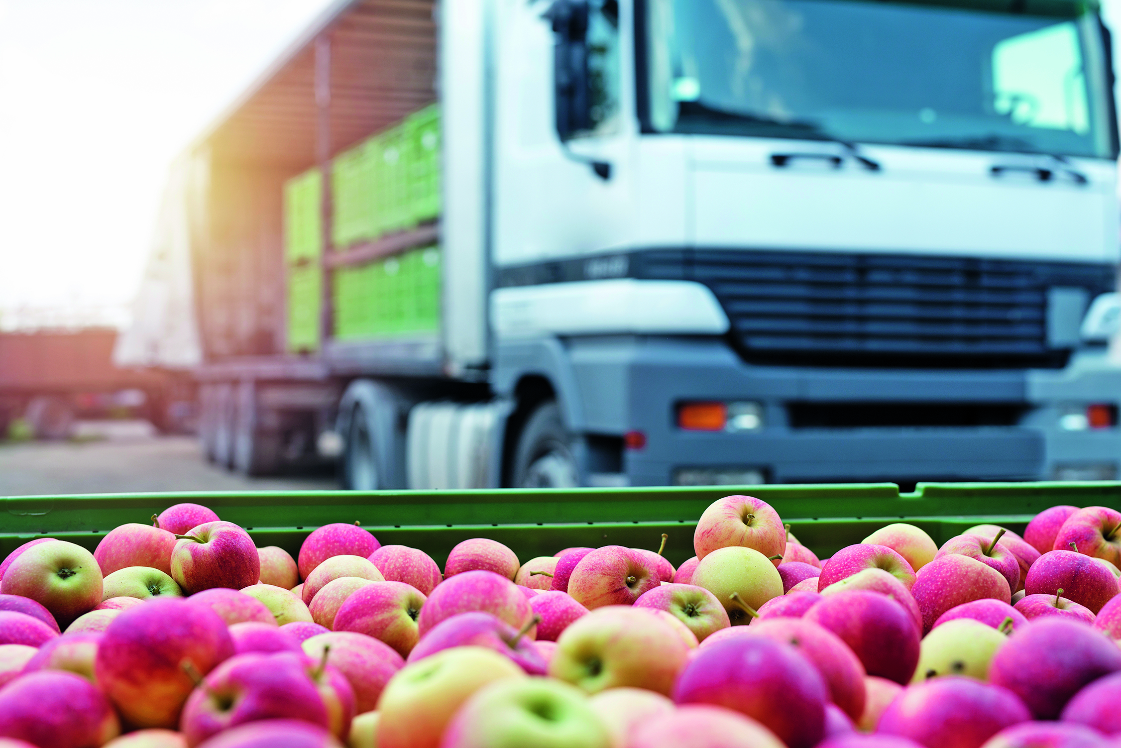 Είδος πολυτελείας… ντομάτες και καρπούζια-4