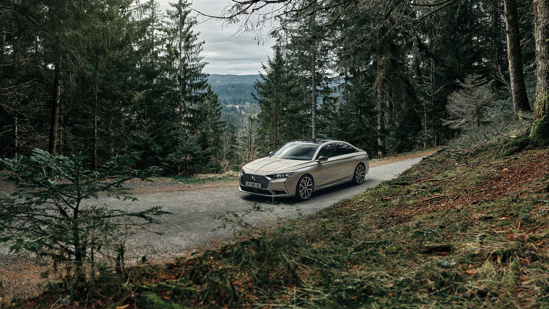 Τα καλύτερα μοντέλα της αγοράς σήμερα-8