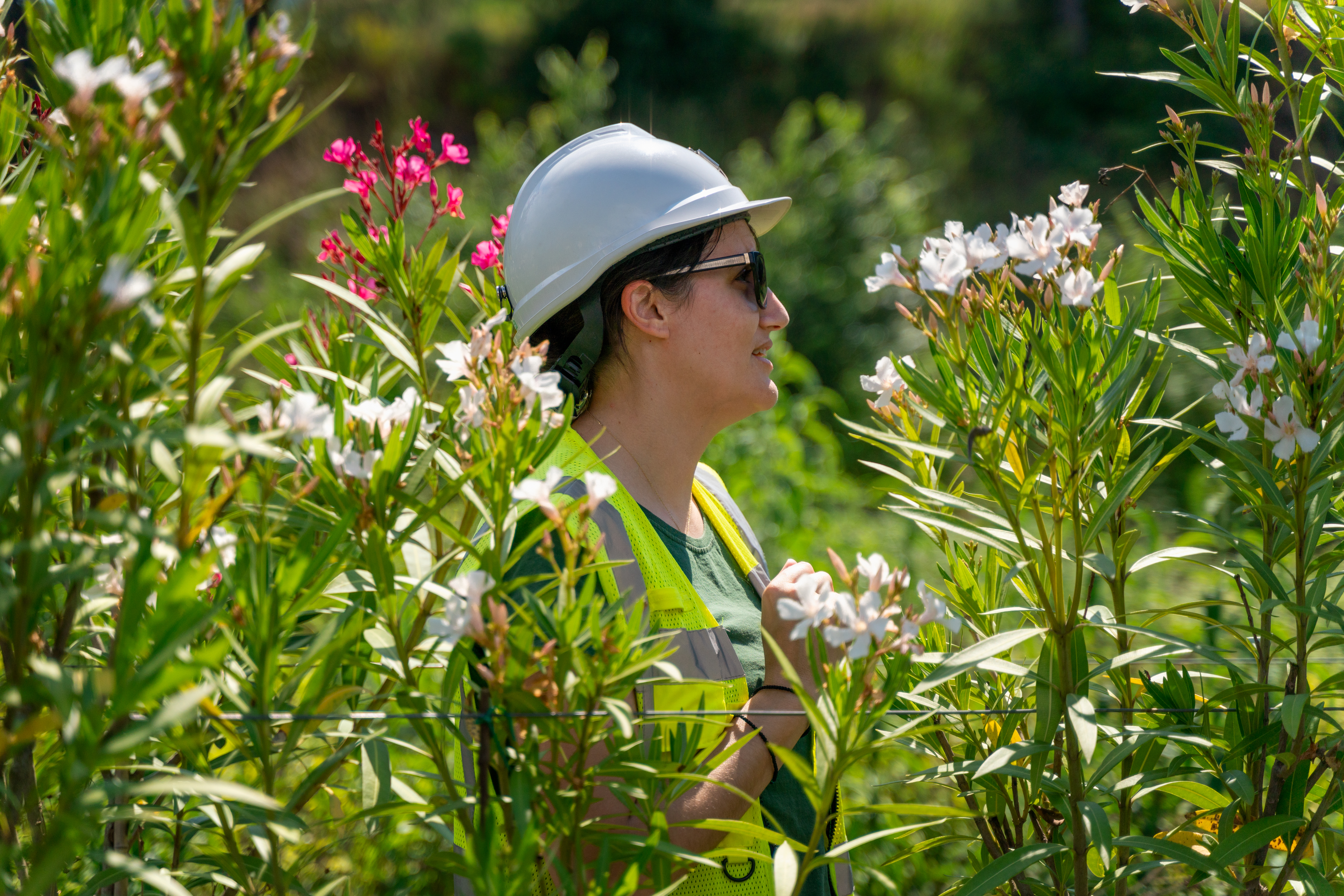 Με υψηλότατη απόδοση βάσει του διεθνούς προτύπου TSM για τη βιώσιμη μεταλλευτική δραστηριότητα, η Ελληνικός Χρυσός επιβεβαιώνει την προσήλωσή της σε θέματα ESG-1