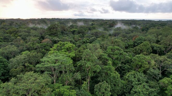 ηπα-οι-300-δασοφύλακες-φυλάττουν-ακόμη-562603120