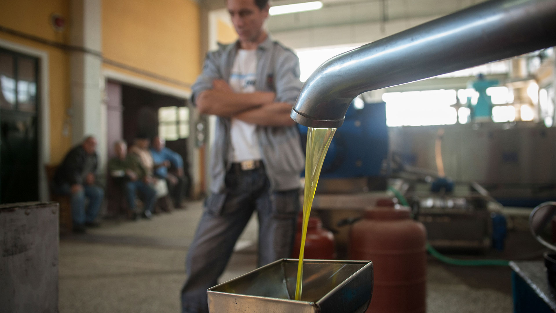 Ο «μαύρος» τζίρος του ελαιολάδου-1