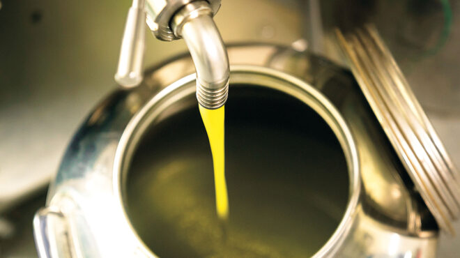 ο-μαύρος-τζίρος-του-ελαιολάδου-562641085