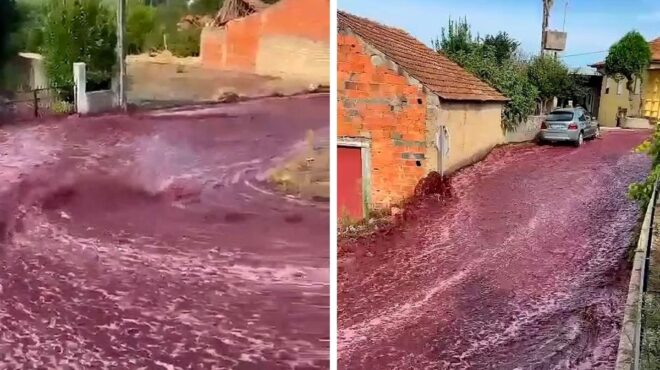 ποτάμι-2-εκατ-λίτρων-κόκκινου-κρασιο-562611982