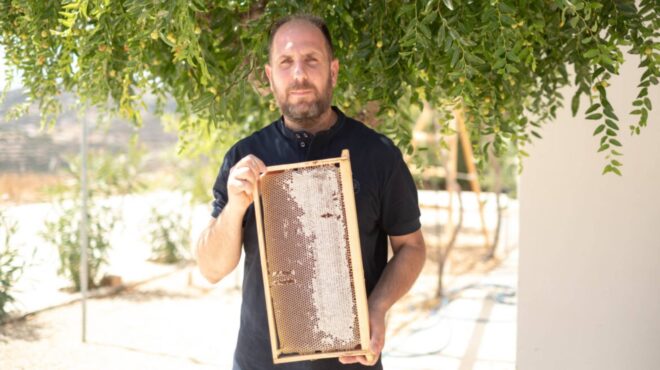 το-βιολογικό-μέλι-του-βαγγέλη-γεργατσ-562623964