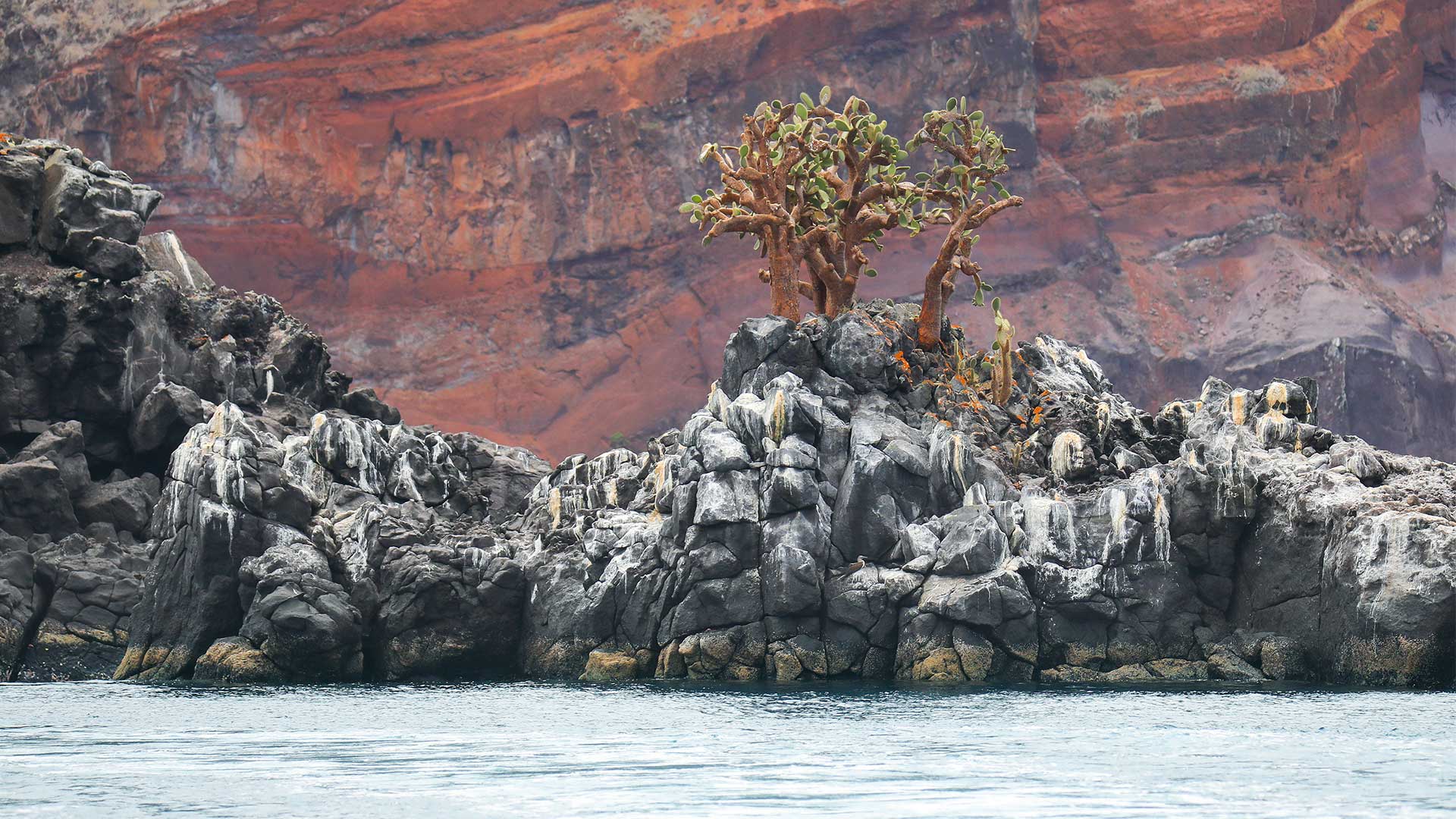 Κι αν τα δάση και τα ποτάμια είχαν νομικά δικαιώματα;-2