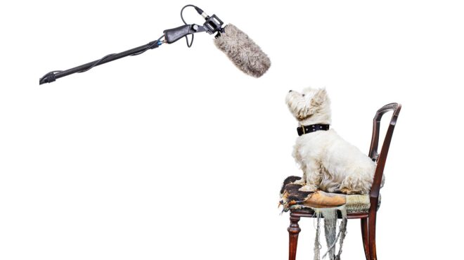 υπάρχουν-μεταφραστές-ζώων-562644109