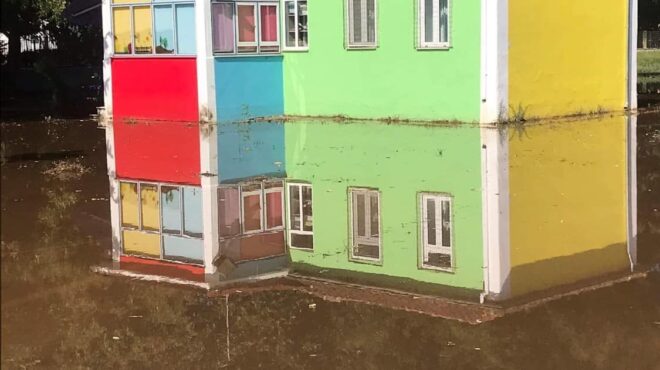 νηπιαγωγοί-υιοθετούν-τα-πληγωμένα-562626508