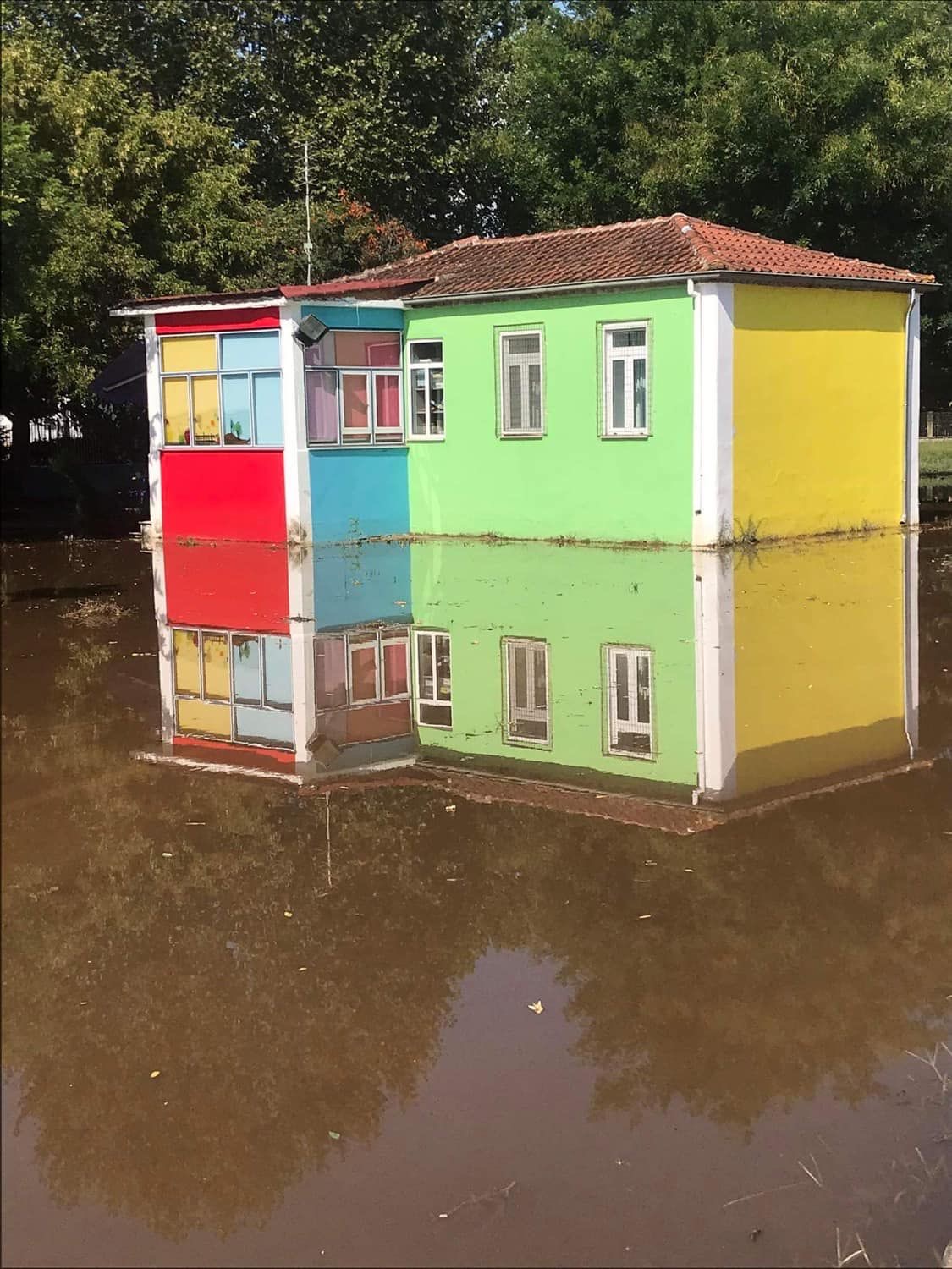 νηπιαγωγοί-υιοθετούν-τα-πληγωμένα-562626508