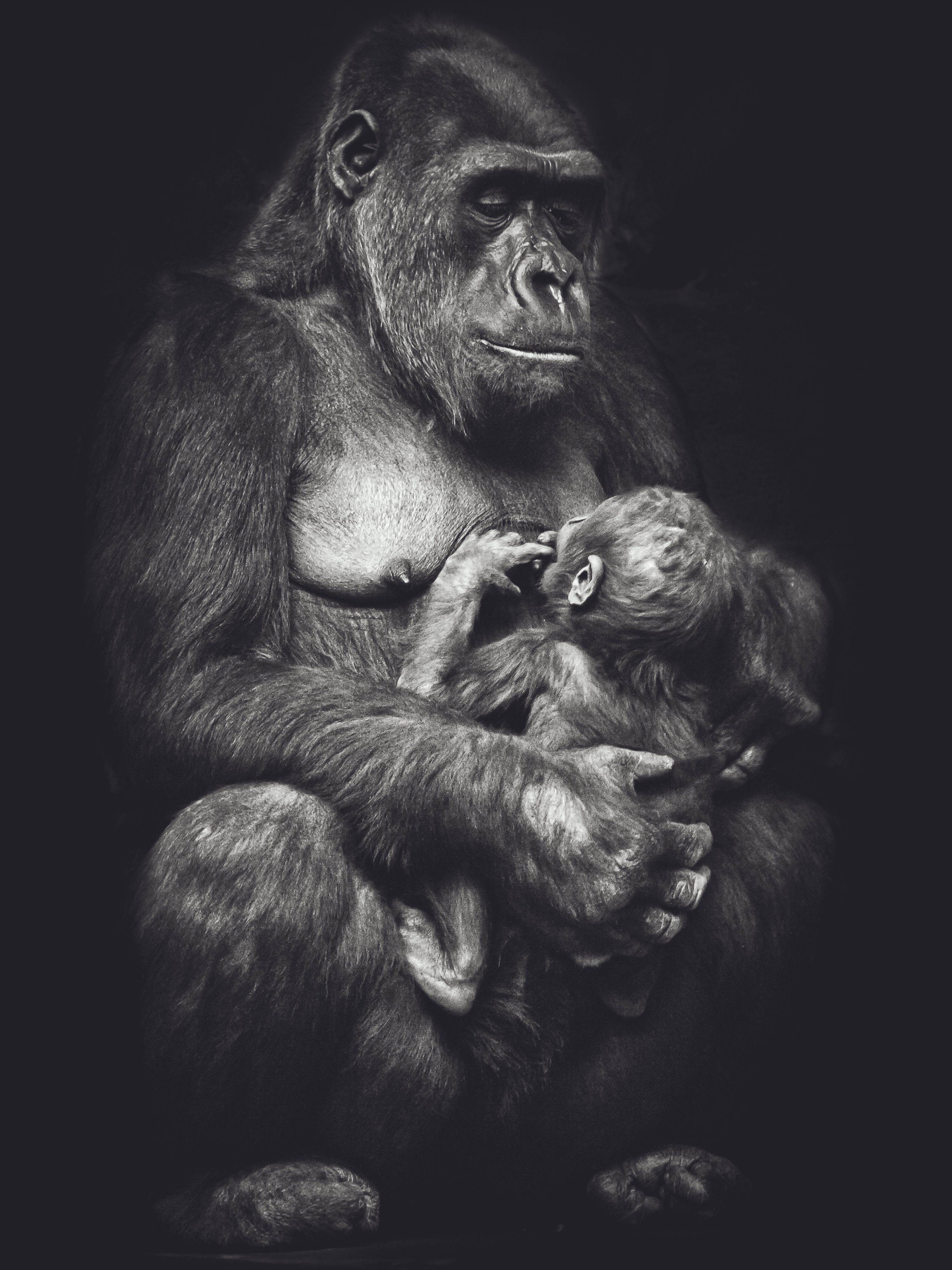 Πως γίναμε άνθρωποι-4