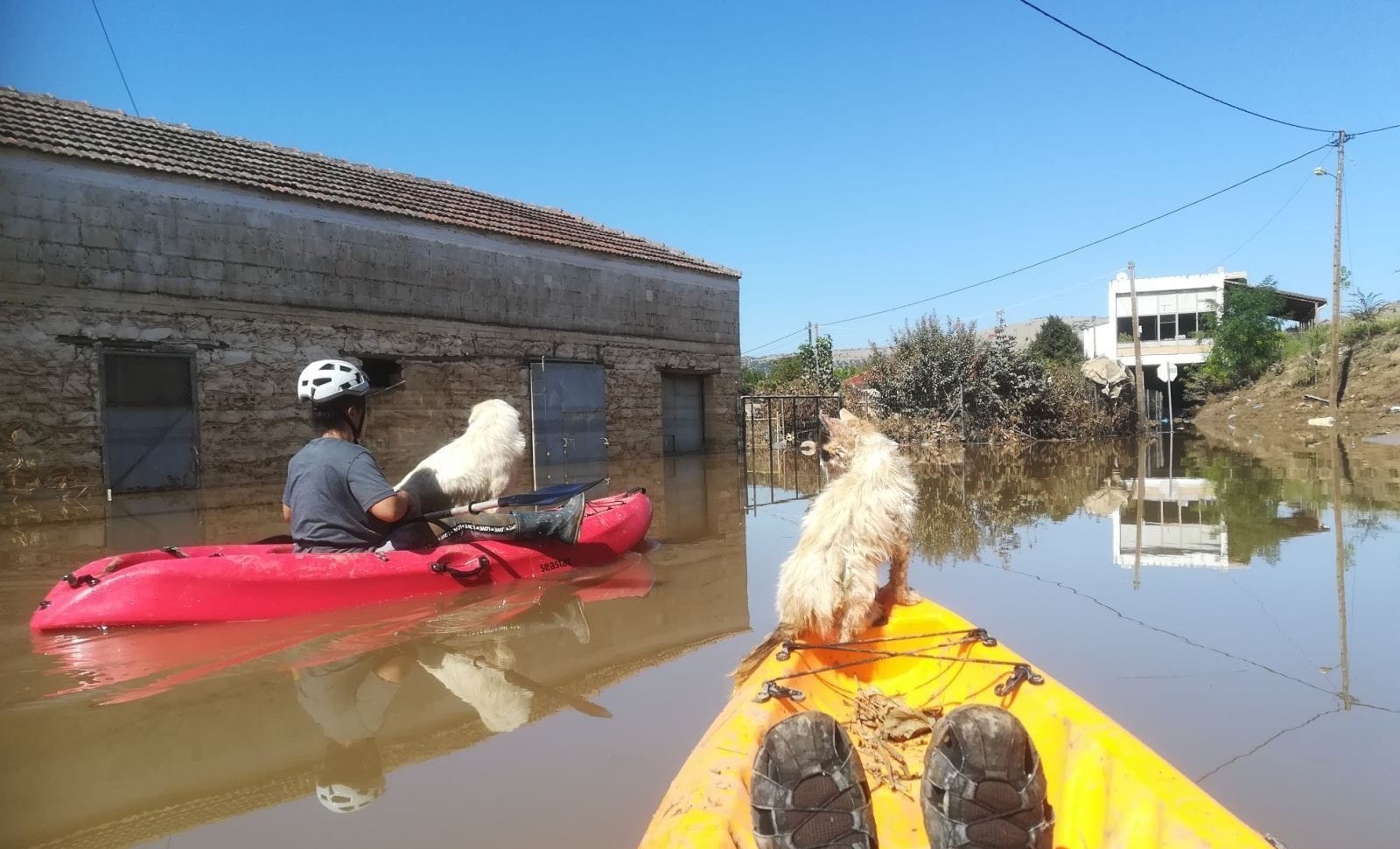 Πέντε φωτεινές ιστορίες από τα λασπόνερα της Θεσσαλίας-3