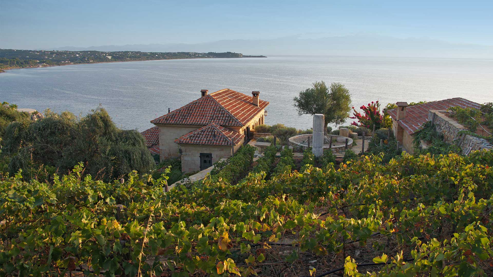 Το πρώτο φεστιβάλ μεσσηνιακών οίνων έρχεται στη Navarino Agora-2