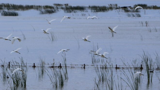 θεσσαλία-υποχωρούν-τα-νερά-στη-λίμνη-κ-562621516