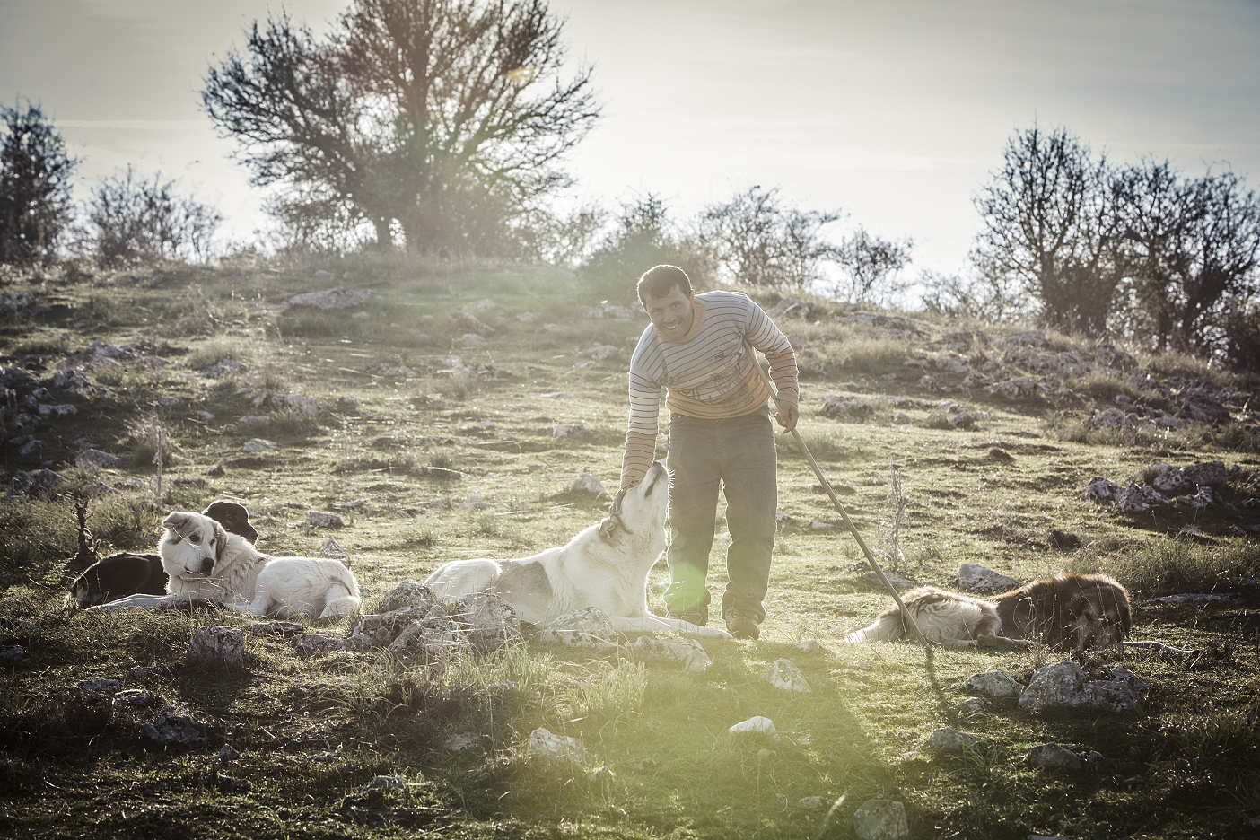 ΧΡΟΝΙΑ ΟΡΟΣΗΜΟ ΤΟ 2023 ΓΙΑ ΤΗ ΔΩΔΩΝΗ-2