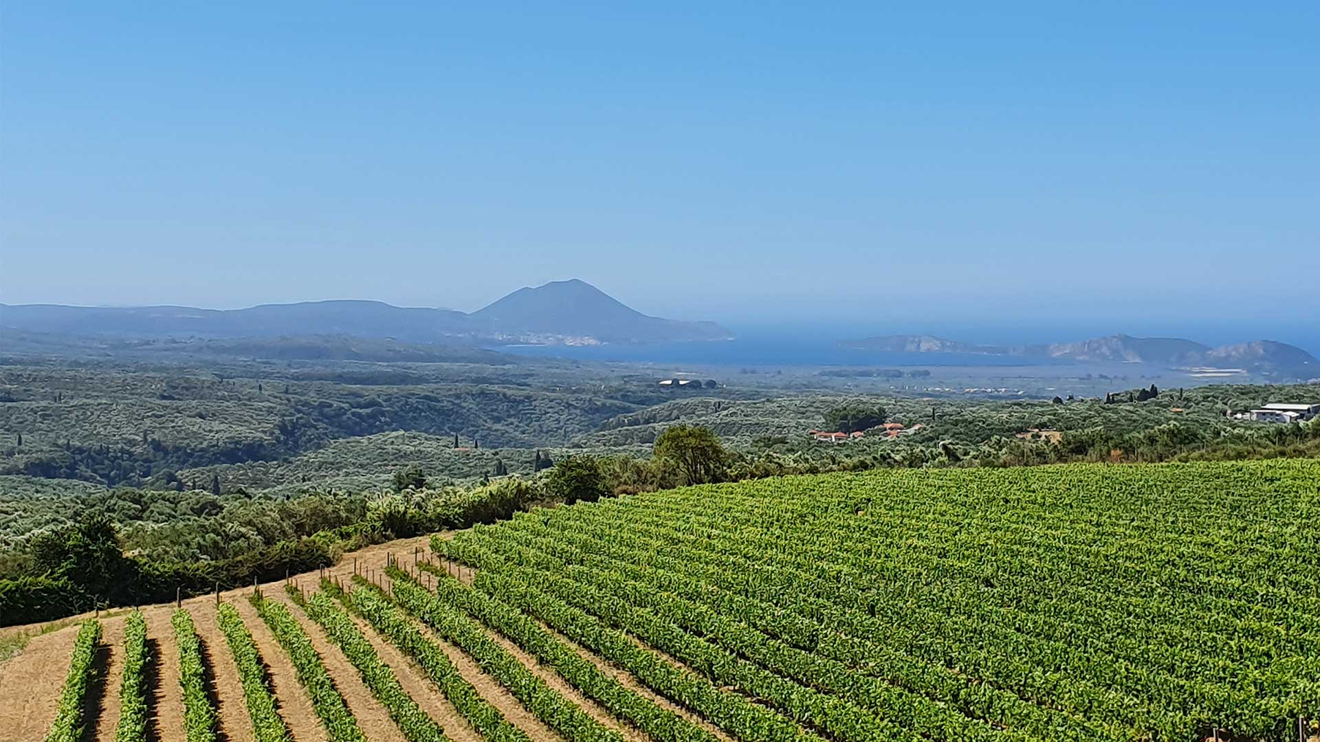 Το πρώτο φεστιβάλ μεσσηνιακών οίνων έρχεται στη Navarino Agora-4