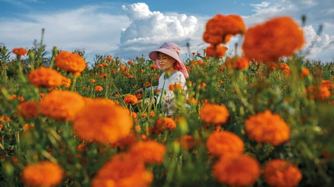 σε-τρεις-ηπείρους-με-τον-πολ-σάλοπεκ-562627096