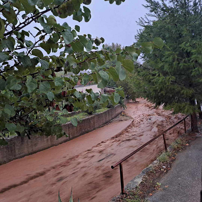 Κακοκαιρία Elias: Στο 70% η καταστροφή στις Ροβιές, δύσκολη η κατάσταση σε Μαντούδι και Ιστιαία-1