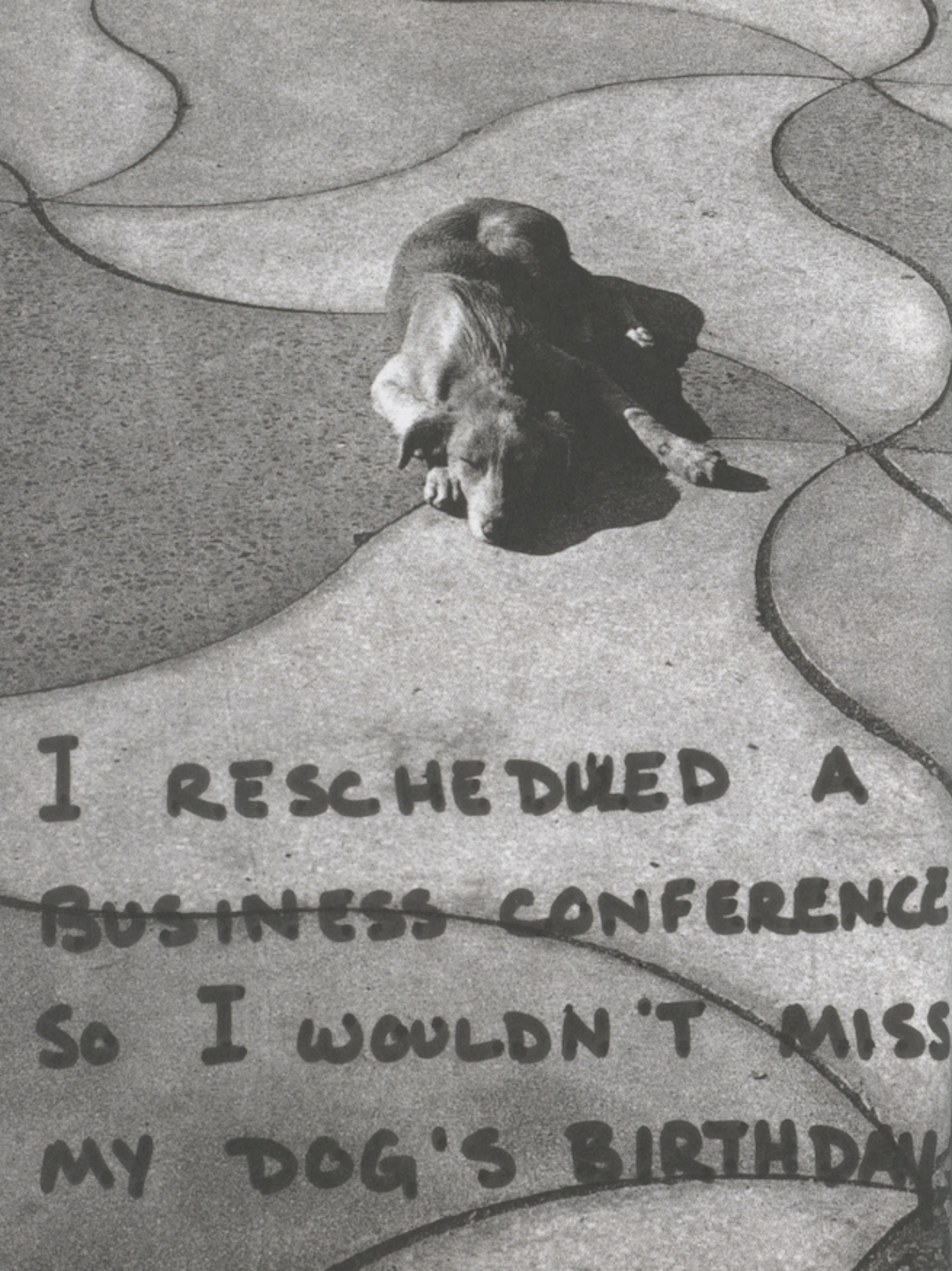 «Γεια, με λένε Φρανκ και συλλέγω μυστικά»-6