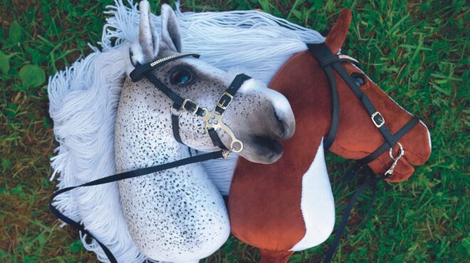 τι-είναι-το-hobby-horsing-562605910