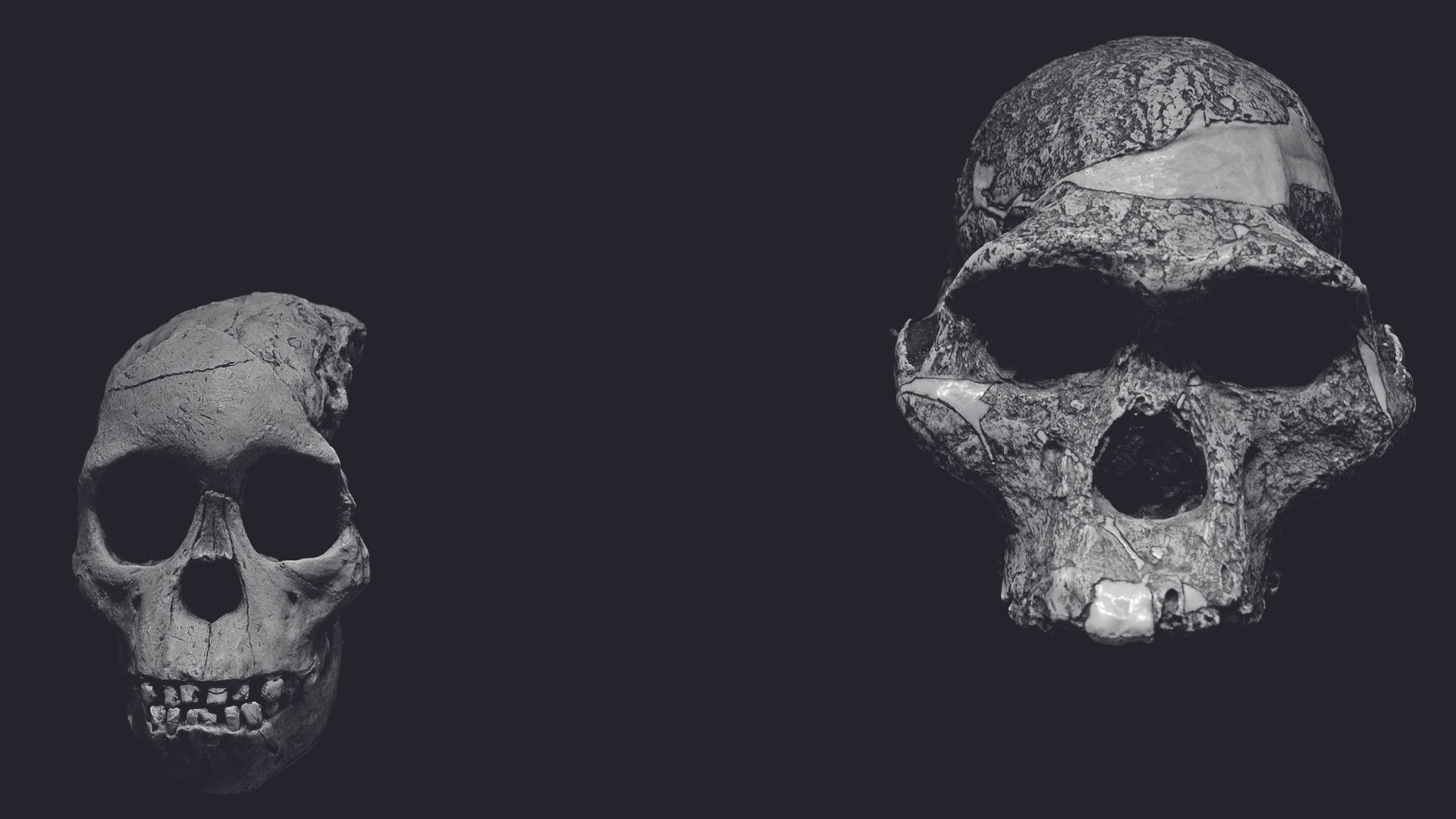 Πως γίναμε άνθρωποι-5