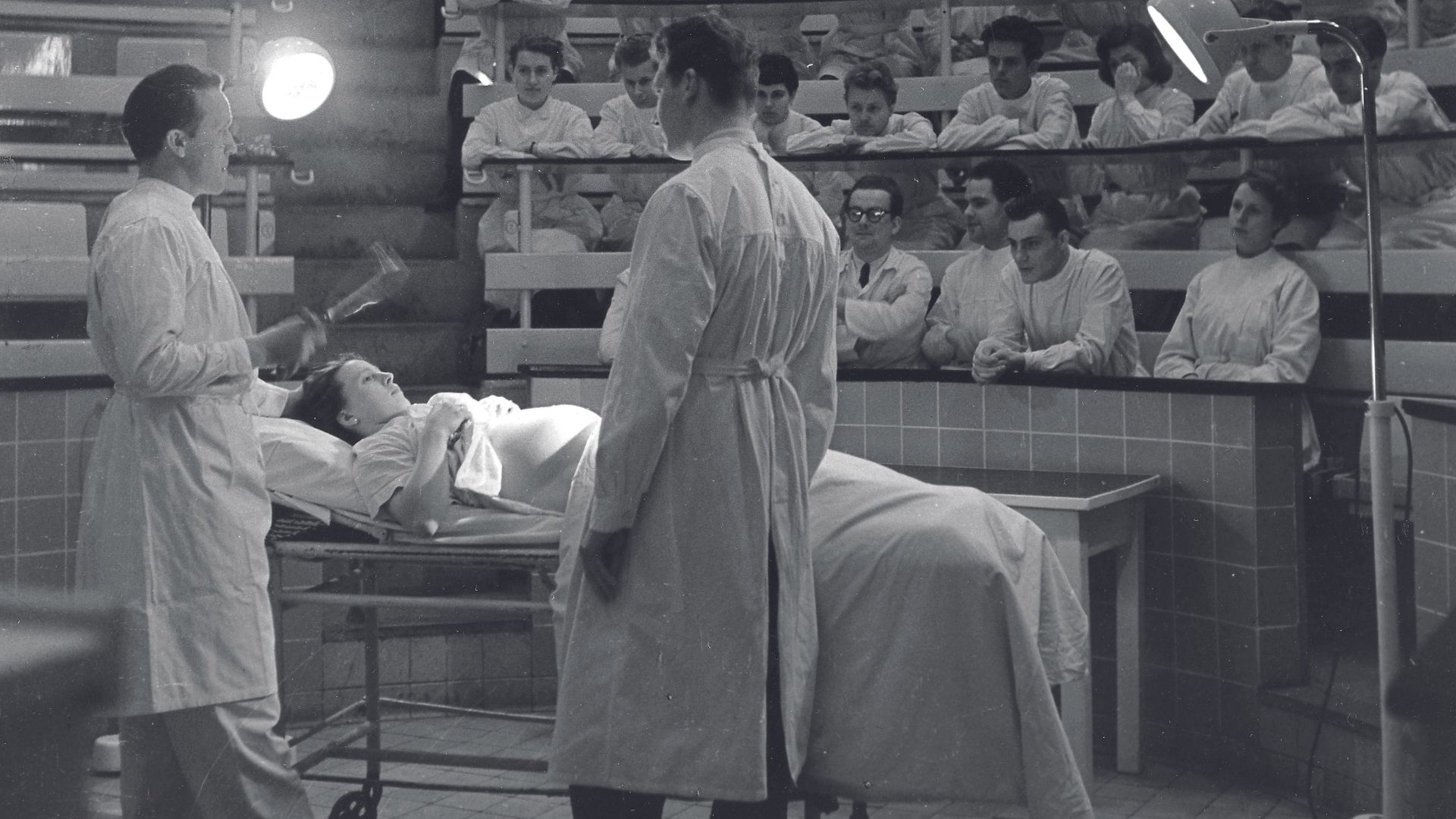 Πως γίναμε άνθρωποι-2