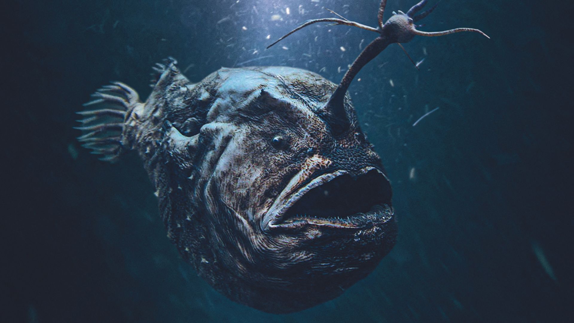 320 σελίδες κάτω από τη θάλασσα-3