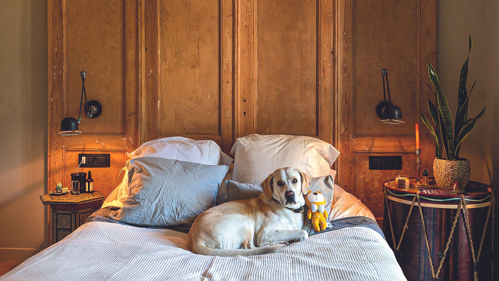 My space: Εξωτική γοητεία σε μια μονοκατοικία του ’30 στο Μετς-3