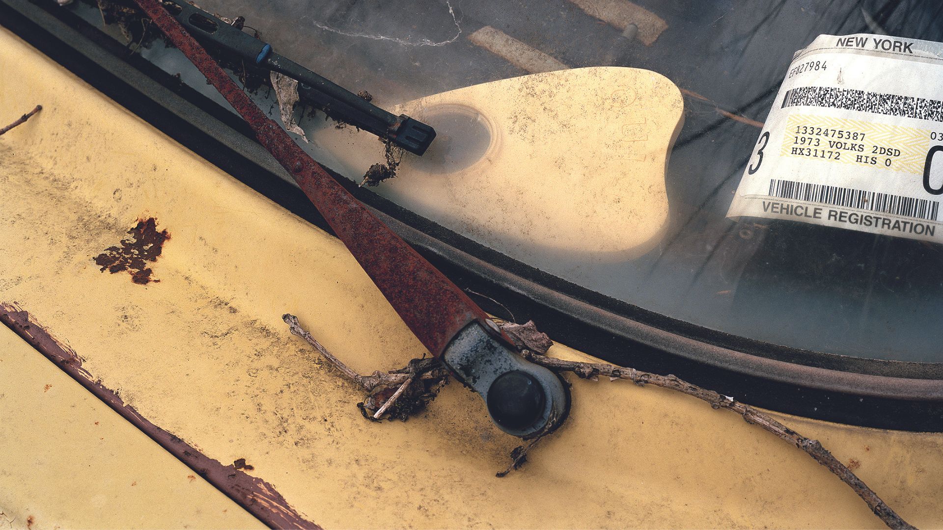 Σακαράκα, αγάπη μου: Οι αληθινές ΗΠΑ μέσα από τις φωτογραφίες του Φιλ Γιουνγκ-6