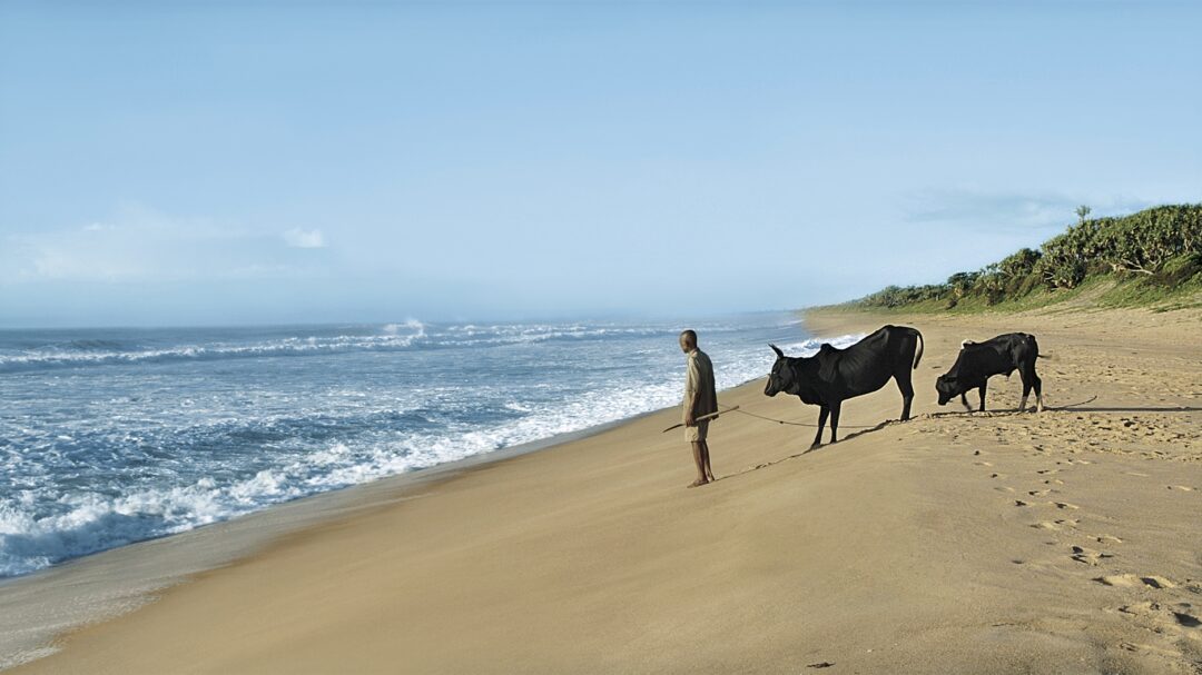 στην-πρώτη-γραμμή-της-κλιματικής-κρίσ-562638256