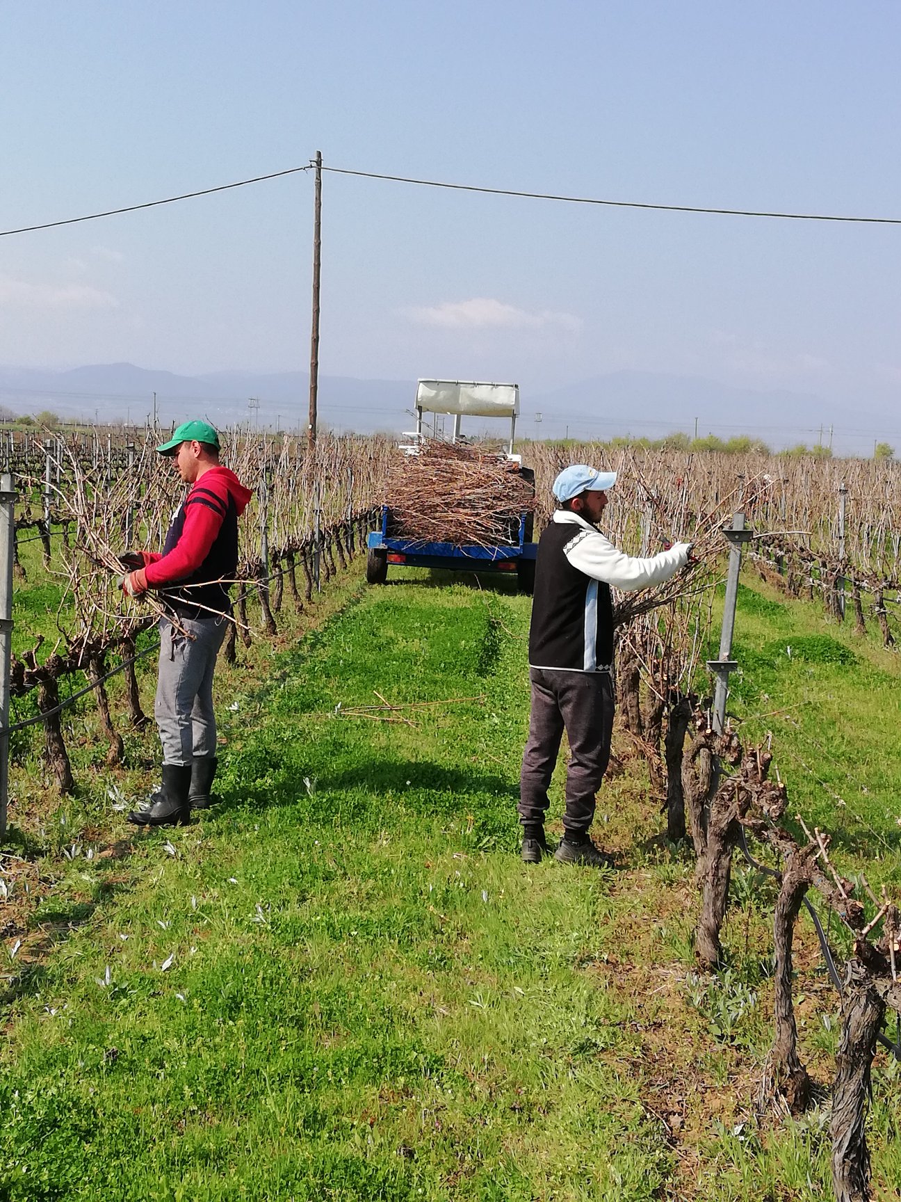 Η επόμενη μέρα στον Κάμπο: «Θα πάρει χρόνια αλλά θα ξαναστήσουμε τη φάρμα μας»-1