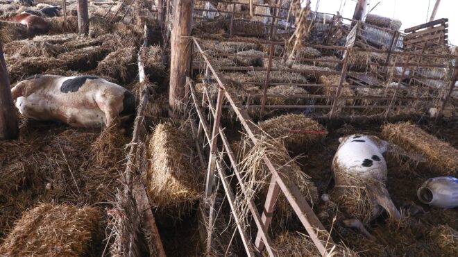 κακοκαιρία-daniel-μαρτυρίες-στην-κ-ημ-562610965