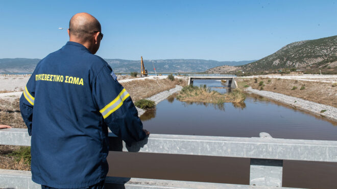 γ-αρτοποιός-στο-μικροσκόπιο-η-εξέλιξη-562621714